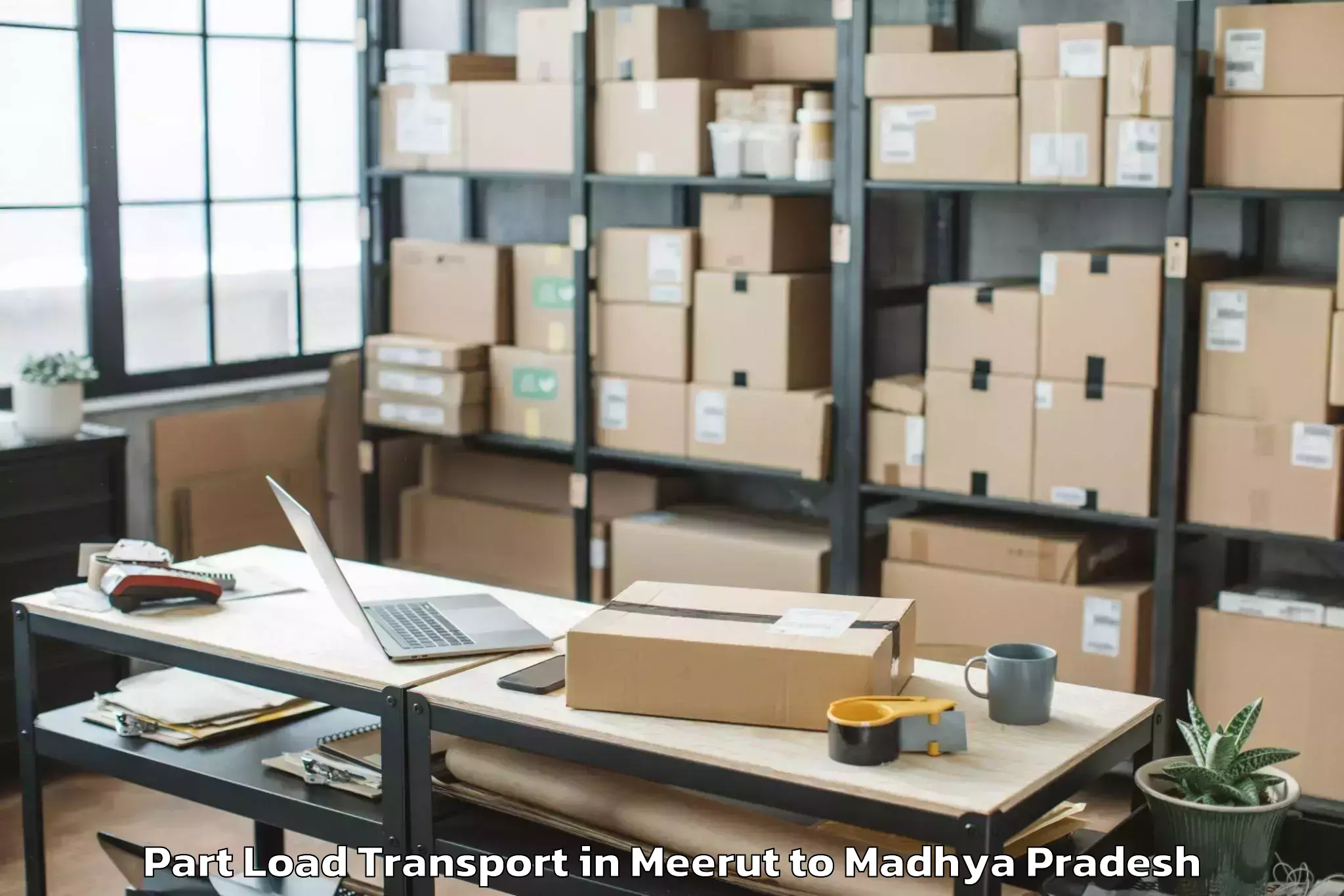 Top Meerut to Khajuraho Group Of Monuments Part Load Transport Available